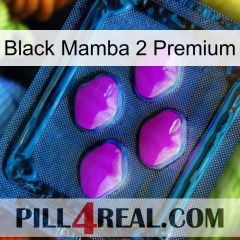 Black Mamba 2 Premium 04